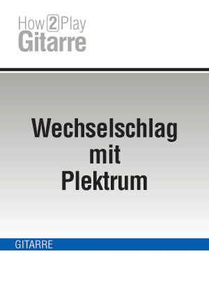 Wechselschlag mit Plektrum